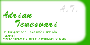 adrian temesvari business card