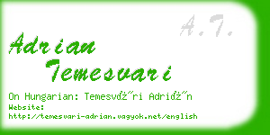 adrian temesvari business card